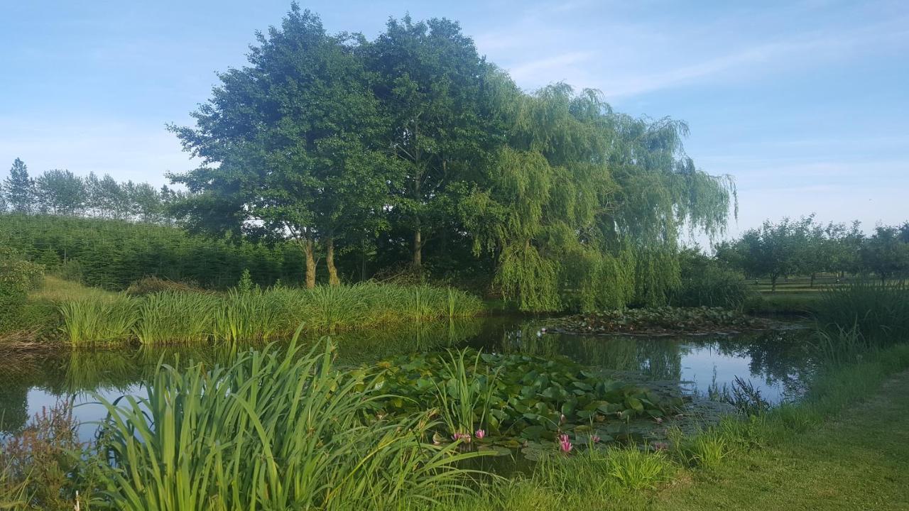 Apartmán Agermosegaard Assens Exteriér fotografie